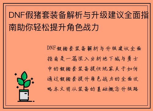 DNF假猪套装备解析与升级建议全面指南助你轻松提升角色战力